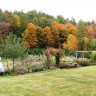 FALL FOLIAGE PICTORAL TOUR OF REDROCK FARM