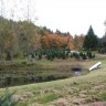 FALL FOLIAGE PICTORAL TOUR OF REDROCK FARM